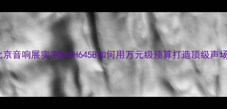 图片 🎵北京音响展实测NADH645B如何用万元级预算打造顶级声场？2