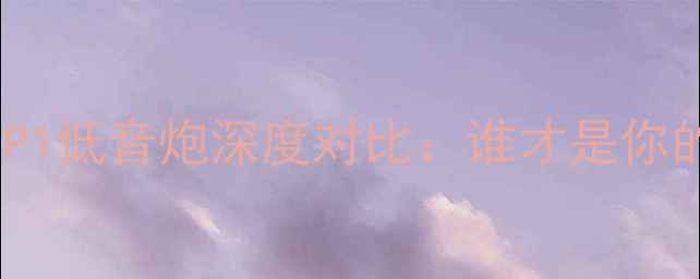 图片 🎵喜力士VS来福P1低音炮深度对比：谁才是你的低音宝藏？🔥2