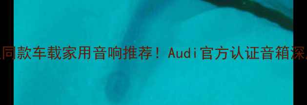 图片 🎵奥迪同款车载家用音响推荐！Audi官方认证音箱深度测评