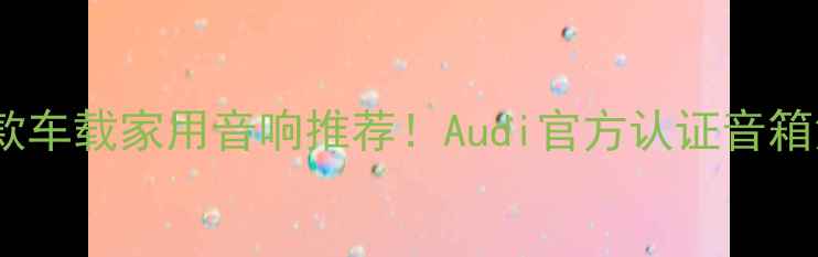 图片 🎵奥迪同款车载家用音响推荐！Audi官方认证音箱深度测评1
