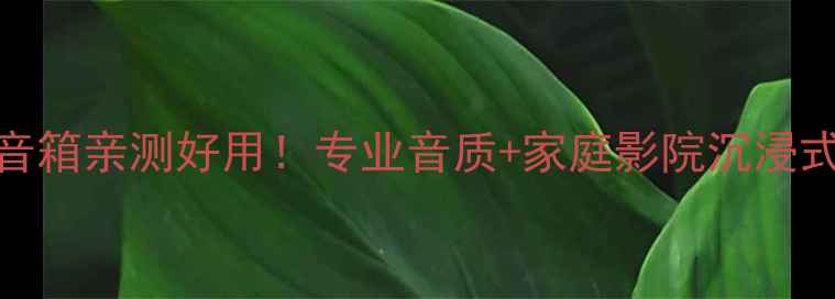图片 🎵定制HiFi音箱亲测好用！专业音质+家庭影院沉浸式体验全攻略