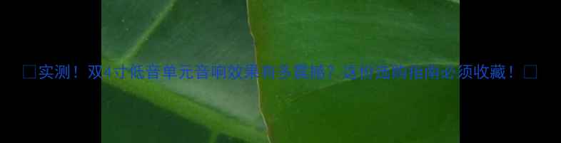 图片 🎵实测！双4寸低音单元音响效果有多震撼？这份选购指南必须收藏！🎶