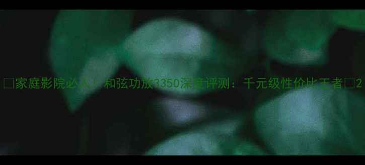 图片 🎵家庭影院必入！和弦功放3350深度评测：千元级性价比王者🔥2