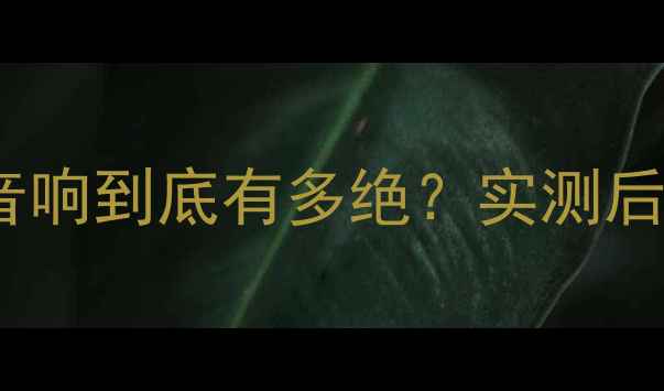 图片 🎵开箱测评RARPro5音响到底有多绝？实测后我直接换掉旧设备！