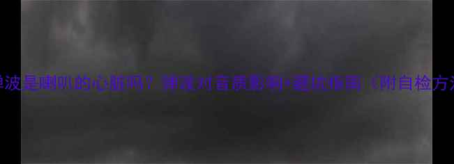 图片 🎵弹波是喇叭的心脏吗？弹波对音质影响+避坑指南（附自检方法）