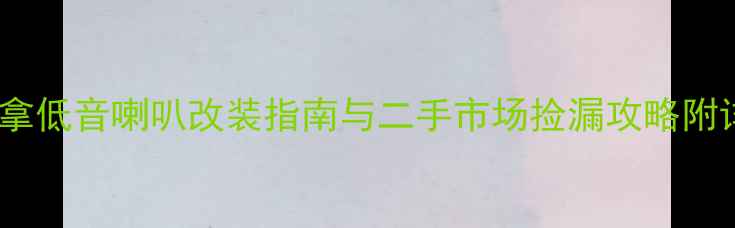 图片 🎵必看！老款丹拿低音喇叭改装指南与二手市场捡漏攻略附详细参数对比🔥1