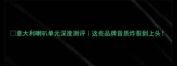 图片 🎵意大利喇叭单元深度测评｜这些品牌音质炸裂到上头！