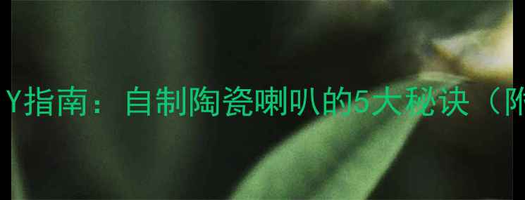 图片 🎵手机音响DIY指南：自制陶瓷喇叭的5大秘诀（附详细教程）1