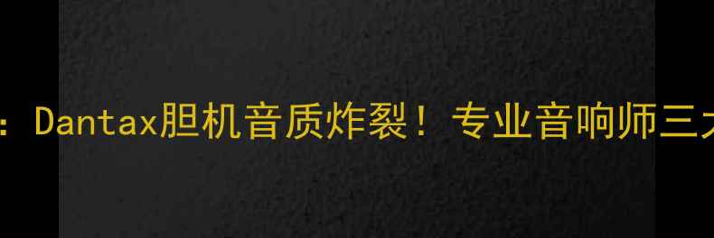图片 🎵深度测评：Dantax胆机音质炸裂！专业音响师三大核心技术1