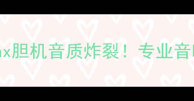 图片 🎵深度测评：Dantax胆机音质炸裂！专业音响师三大核心技术2