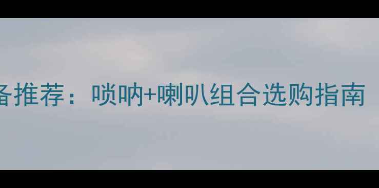 图片 🎵红歌伴奏音响设备推荐：唢呐+喇叭组合选购指南（附最新品牌清单）