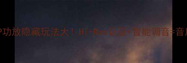 图片 🎵维尔帝DSP功放隐藏玩法大！Hi-Res认证+智能调音=音质天花板🔥1