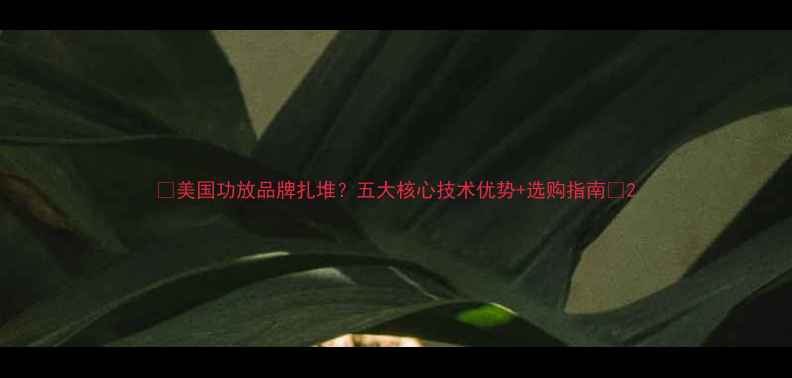 图片 🎵美国功放品牌扎堆？五大核心技术优势+选购指南🔥2