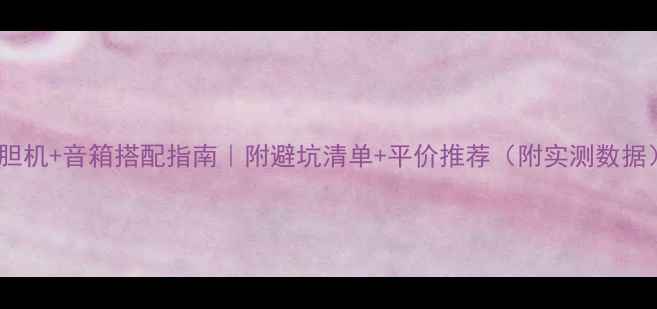 图片 🎵胆机+音箱搭配指南｜附避坑清单+平价推荐（附实测数据）1