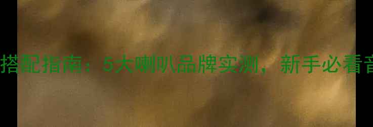 图片 🎵舞仕刚柔功放搭配指南：5大喇叭品牌实测，新手必看音质提升秘籍🎶2