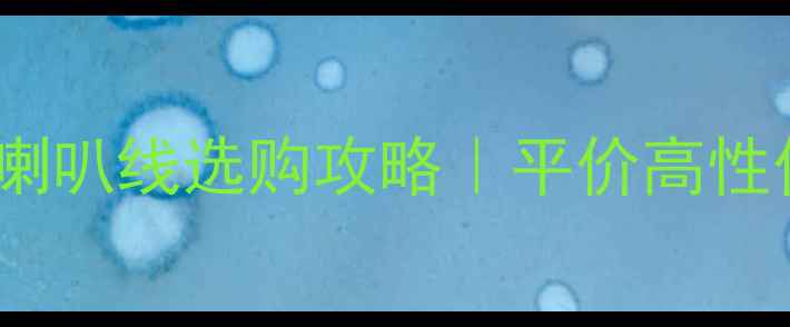 图片 🎵范登豪入门级喇叭线选购攻略｜平价高性价比避坑指南🎧1