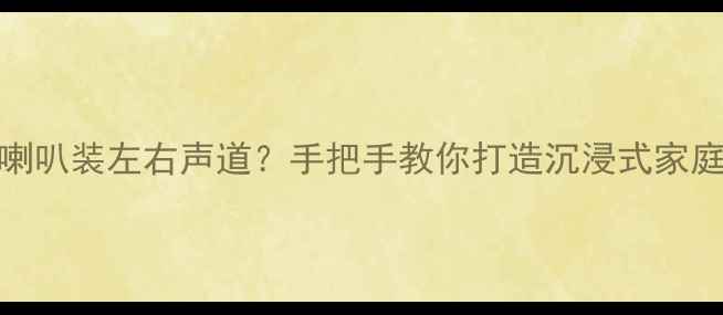 图片 🎵重低音喇叭装左右声道？手把手教你打造沉浸式家庭影院！🎧