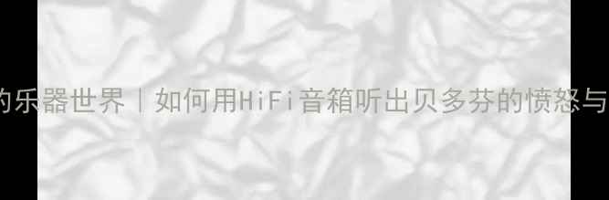 图片 🎵重低音音箱里的乐器世界｜如何用HiFi音箱听出贝多芬的愤怒与肖邦的浪漫？🔊2