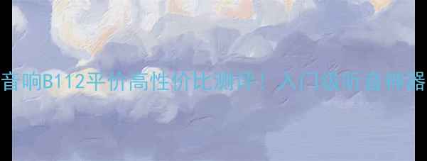 图片 🎵锐威音响B112平价高性价比测评！入门级听音神器推荐💡