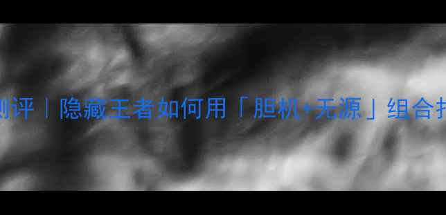 图片 🎵长春胆机无源音箱深度测评｜隐藏王者如何用「胆机+无源」组合打破家庭影院音质天花板？