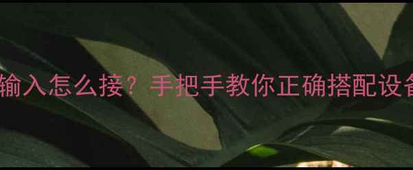 图片 🎵雅马哈功放音频输入怎么接？手把手教你正确搭配设备，音质翻倍！🔊2