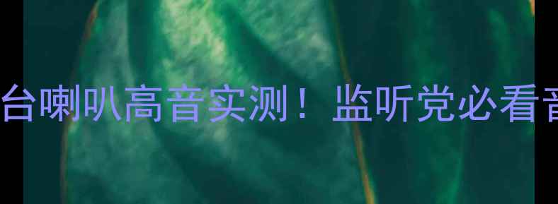 图片 🎵骏派D60工作台喇叭高音实测！监听党必看音质天花板拆解