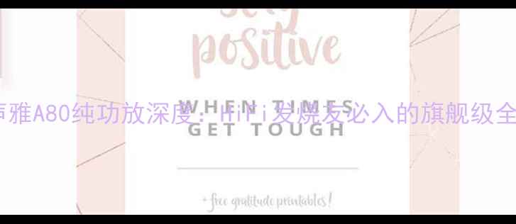 图片 🎵黑科技｜声雅A80纯功放深度：HiFi发烧友必入的旗舰级全频段神器🔥1