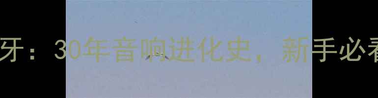 图片 🎶从黑胶到蓝牙：30年音响进化史，新手必看选购指南！2