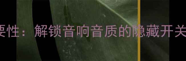 图片 🎶功放Bypass后级的重要性：解锁音响音质的隐藏开关｜新手必看设置指南🎧1