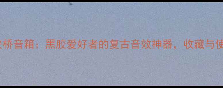 图片 🎶古董12寸安桥音箱：黑胶爱好者的复古音效神器，收藏与使用全攻略🎶2
