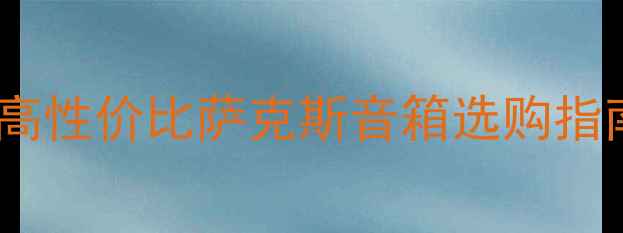 图片 🎺萨克斯手必看！高性价比萨克斯音箱选购指南（附避坑清单）1