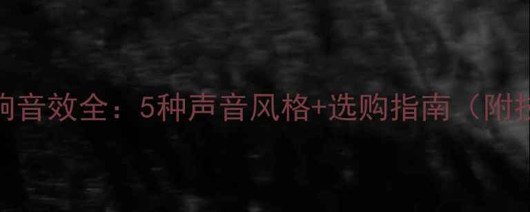 图片 💎索尼音响音效全：5种声音风格+选购指南（附技术原理）