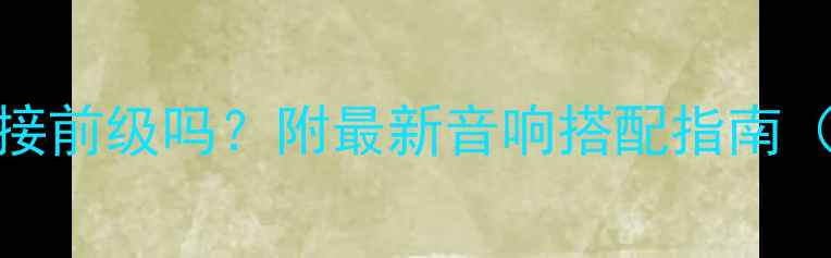 图片 💡普通功放能接前级吗？附最新音响搭配指南（附实测对比）