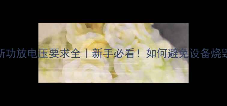 图片 💡维达斯功放电压要求全｜新手必看！如何避免设备烧毁？⚠️