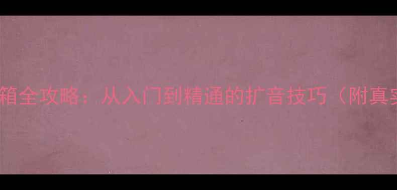 图片 💡胆机推大音箱全攻略：从入门到精通的扩音技巧（附真实测试数据）1