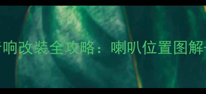 图片 🔊帕萨特领驭音响改装全攻略：喇叭位置图解+安装避坑指南1