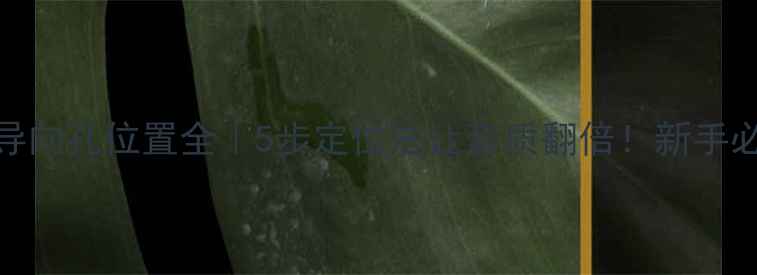 图片 🔊音箱导向孔位置全｜5步定位法让音质翻倍！新手必看干货