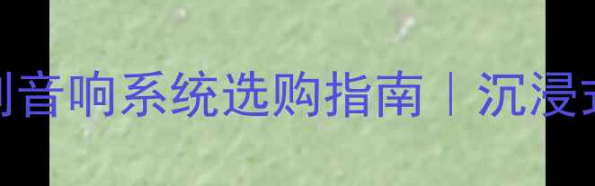 图片 🔊高端私人定制音响系统选购指南｜沉浸式听感全攻略🎵