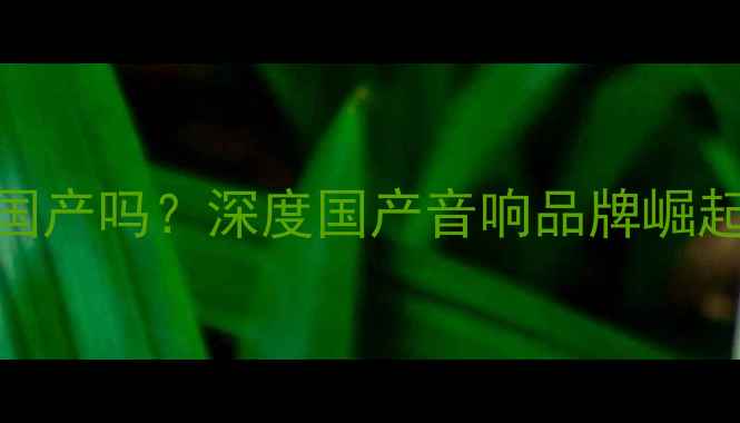图片 🔍先锋功放是国产吗？深度国产音响品牌崛起的三大真相！