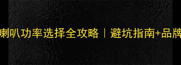 图片 🔥11寸喇叭功率选择全攻略｜避坑指南+品牌实测🔥