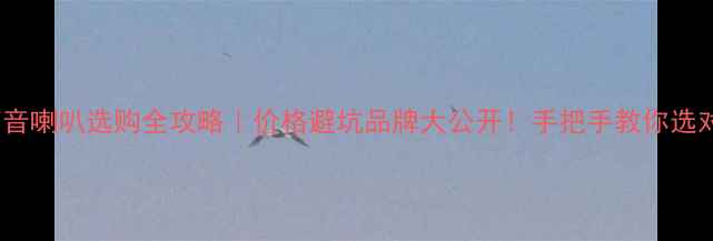 图片 🔥307高音喇叭选购全攻略｜价格避坑品牌大公开！手把手教你选对高音炮