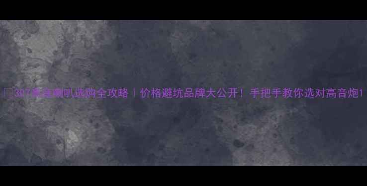 图片 🔥307高音喇叭选购全攻略｜价格避坑品牌大公开！手把手教你选对高音炮1