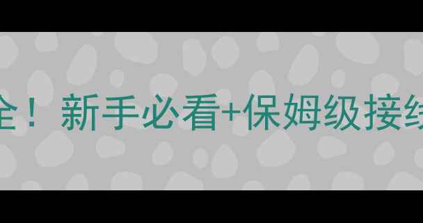 图片 🔥DSP功放标准接口全！新手必看+保姆级接线教程（附示意图）2