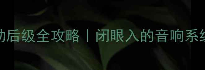 图片 🔥D类功放驱动后级全攻略｜闭眼入的音响系统搭建指南🔥2