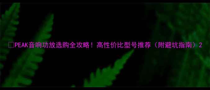 图片 🔥PEAK音响功放选购全攻略！高性价比型号推荐（附避坑指南）2