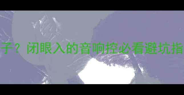 图片 🔥TS功放是哪个牌子？闭眼入的音响控必看避坑指南（附实测清单）