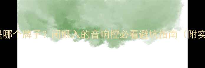 图片 🔥TS功放是哪个牌子？闭眼入的音响控必看避坑指南（附实测清单）2