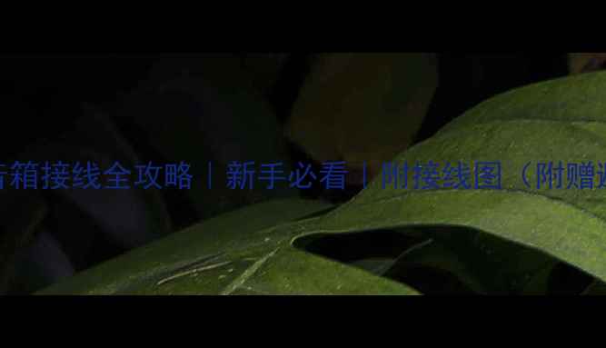 图片 🔥三分频音箱接线全攻略｜新手必看｜附接线图（附赠避坑指南）