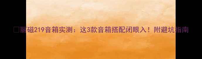 图片 🔥丽磁219音箱实测：这3款音箱搭配闭眼入！附避坑指南