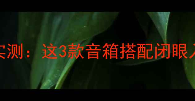 图片 🔥丽磁219音箱实测：这3款音箱搭配闭眼入！附避坑指南1